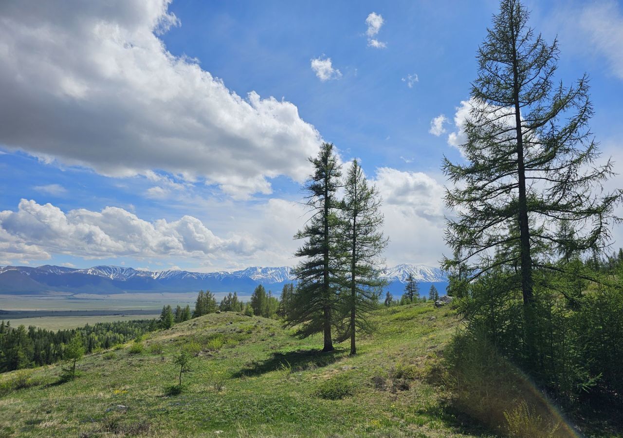 земля р-н Кош-Агачский с Курай ул Зеленая 10 Усть-Улаган фото 7