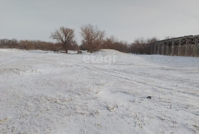 р-н Краснощёковский с Куйбышево Маралихинский сельсовет фото