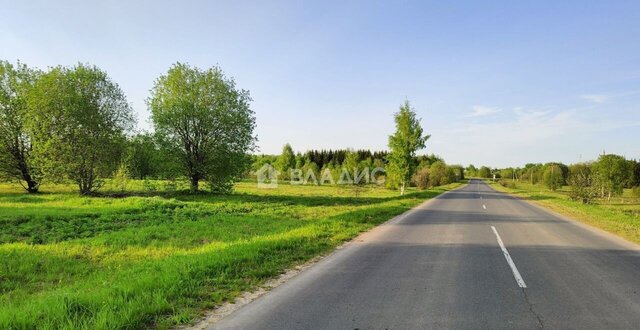 муниципальное образование Красносельское, Бавлены фото