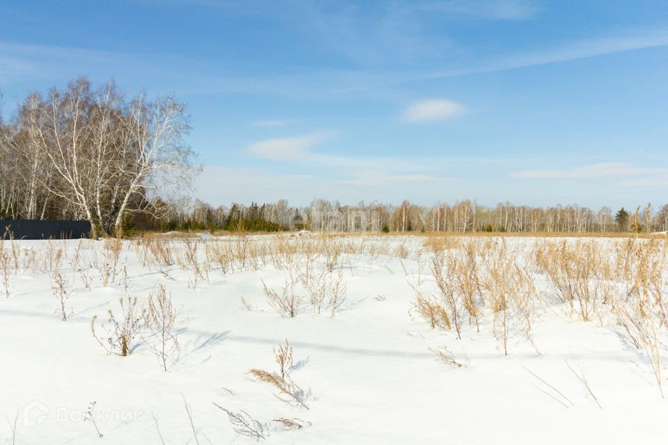 земля р-н Тюменский с Каменка Ирбитский тракт 29 километр фото 5