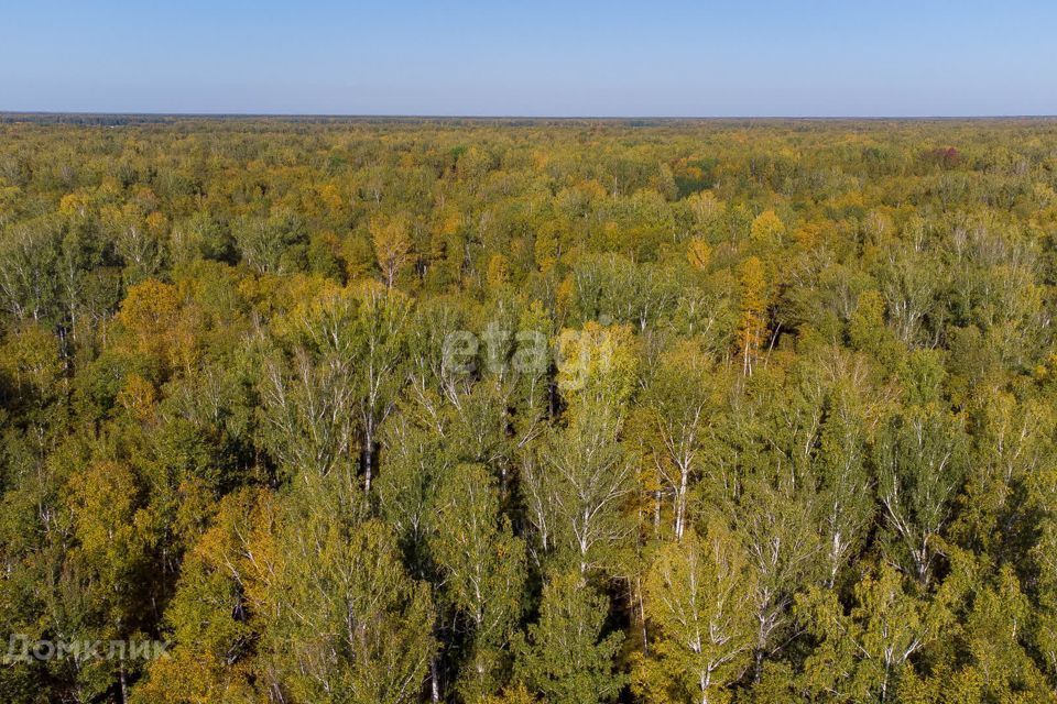 дом р-н Тюменский СНТ Лесник-2 фото 9