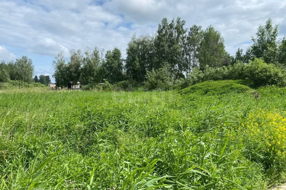 земля г Тюмень снт Поле чудес-2 ул Садовая городской округ Тюмень фото 9