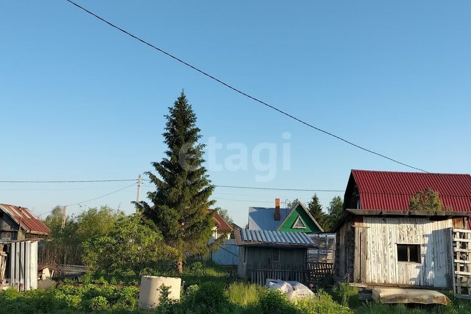 земля р-н Тюменский рп Боровский Торфяная Рассвет с/о, 1 фото 8