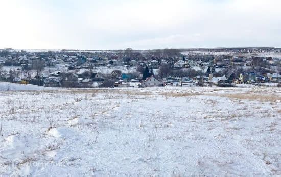 земля г Барнаул п Казенная Заимка ул Абрикосовая городской округ Барнаул фото 4