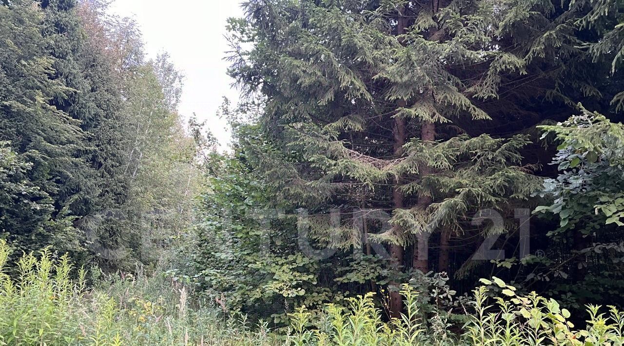 земля р-н Боровский д Кривское снт Причал с пос, 54 фото 1