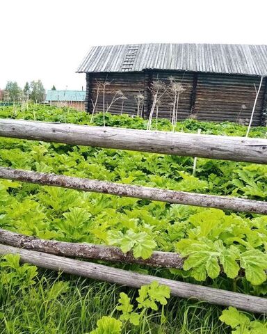 дом 2 муниципальное образование Маджа, Корткерос фото