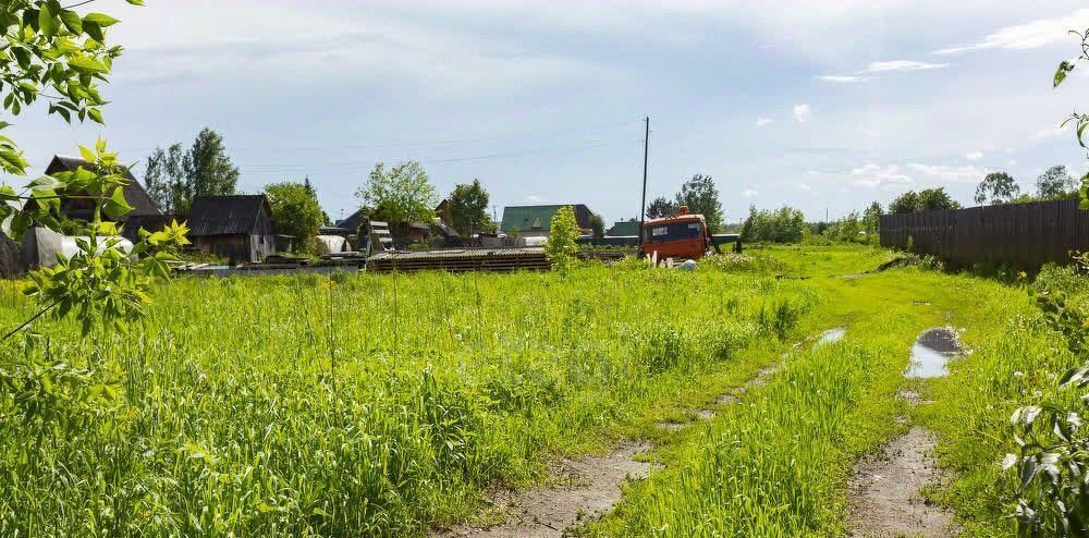 земля р-н Новокузнецкий с Боровково ул Школьная фото 4