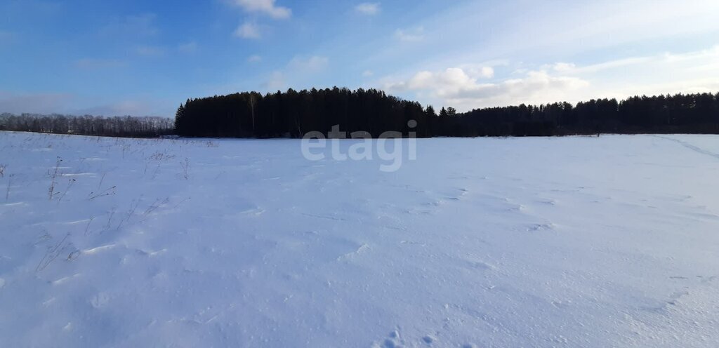 земля г Нижний Тагил с Елизаветинское фото 6