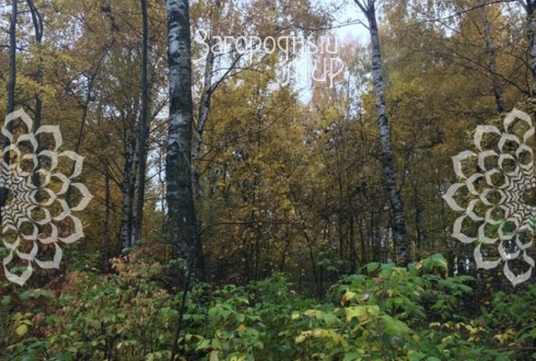 земля городской округ Шатура д Михайловская Новорязанское, Раменский г. о. фото 7