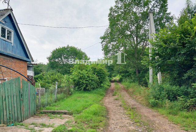 с Душкино Находкинский городской округ фото