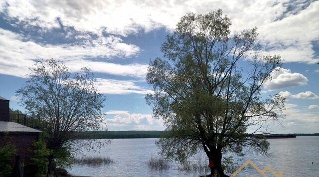 земля муниципальное образование, Васильево фото