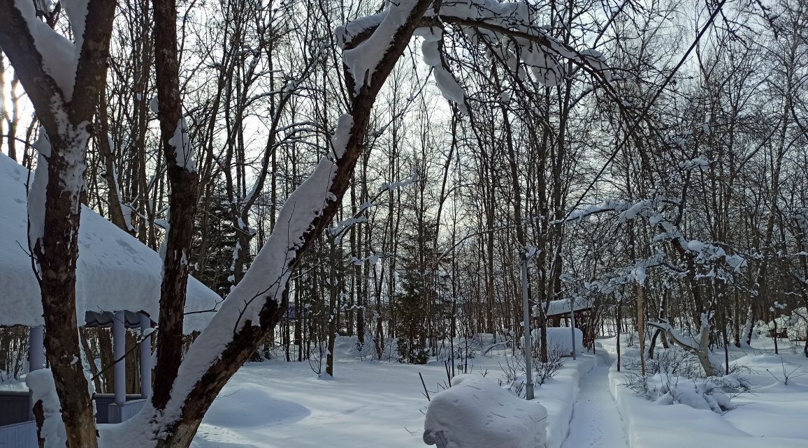 дом городской округ Одинцовский х Рожновка Кокошкино фото 41