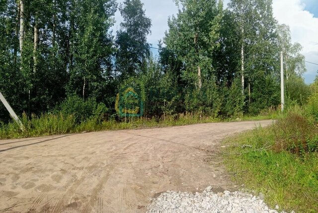 земля Виллозское городское поселение, Звёздная фото