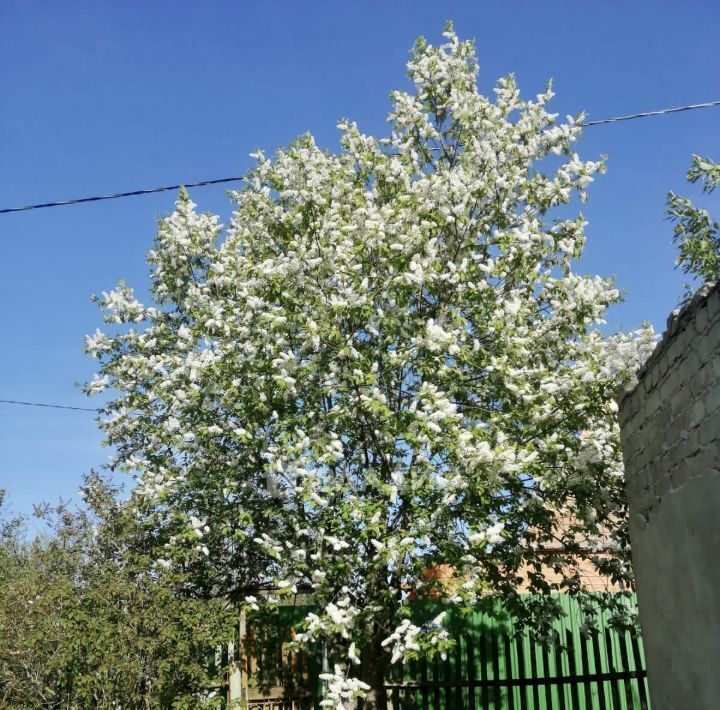 земля г Калуга р-н Октябрьский Колос СНТ, ул. Первоцветная фото 3