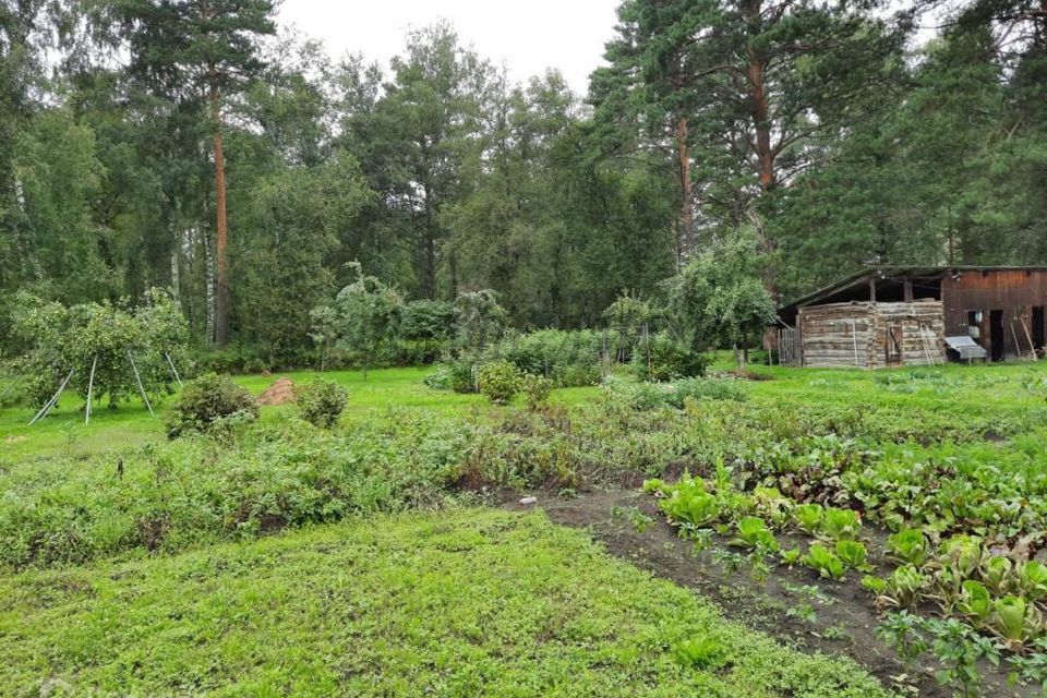 земля р-н Майминский с Соузга Набережная улица фото 5