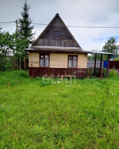 снт Ракитино линия 10-я Будогощское городское поселение, городской пос. Будогощь, Будогощь фото