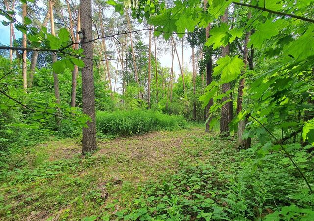 ул Парижской Коммуны 9 фото