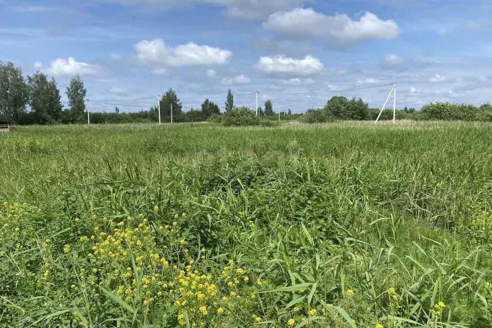 земля г Тюмень снт Поле чудес-2 ул Садовая городской округ Тюмень фото 4