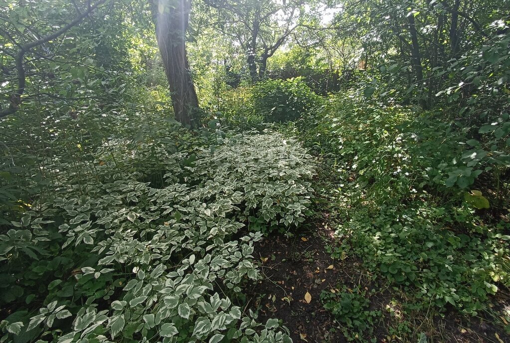 дом р-н Грязинский г Грязи ул Орджоникидзе городское поселение Грязи фото 18