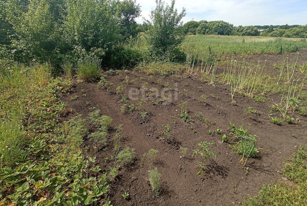 дом р-н Грязинский г Грязи ул Орджоникидзе городское поселение Грязи фото 24