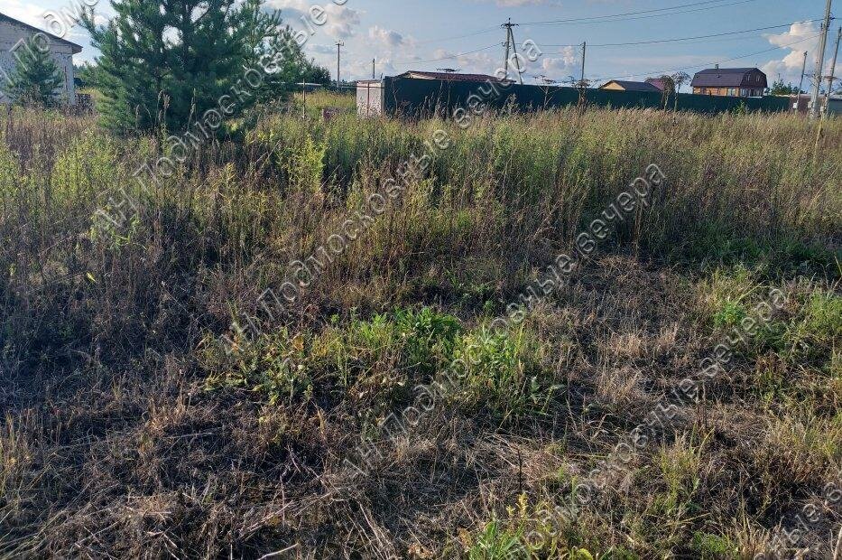 земля городской округ Можайский товарищество собственников недвижимости Царские Берега-2 фото 4