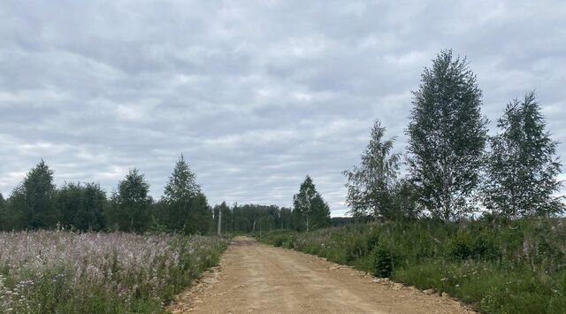 Кременкульское с/пос, Новые Харлуши кп фото