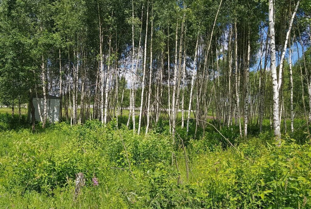 земля городской округ Дмитровский д Капорки Лобня фото 15