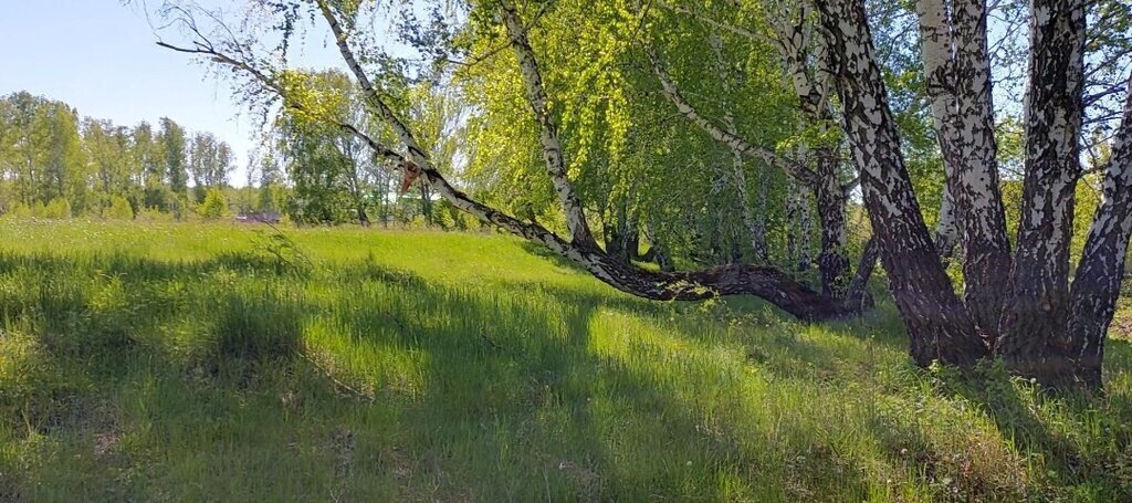 земля р-н Сосновский снт Градостроитель Полетаевское сельское поселение, 17-я улица фото 2