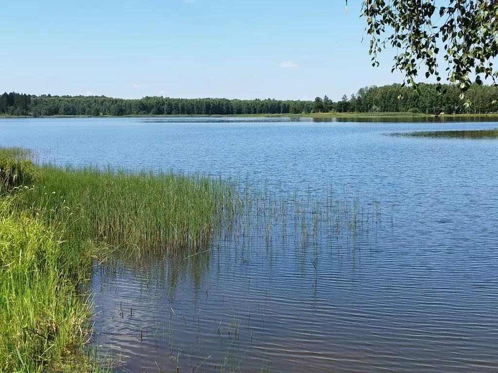 дом городской округ Шаховская д Воютино 2, Шаховская фото 16