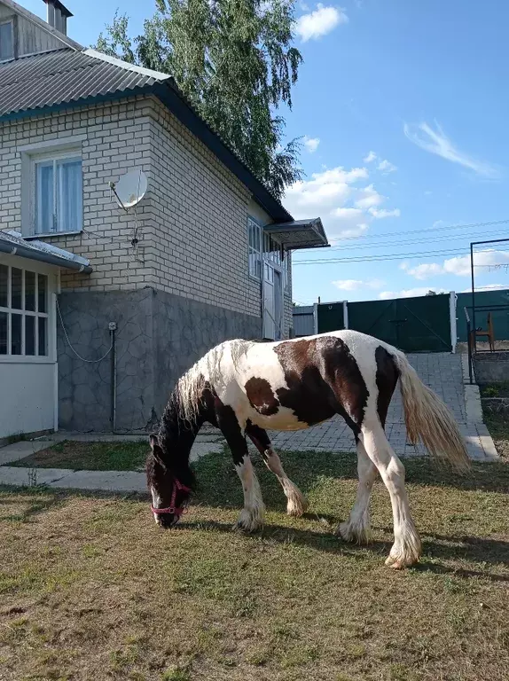 дом р-н Верхнемамонский с Верхний Мамон ул Пролетарская 124 фото 13