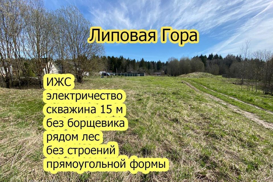 земля р-н Волосовский деревня Липовая Гора фото 1