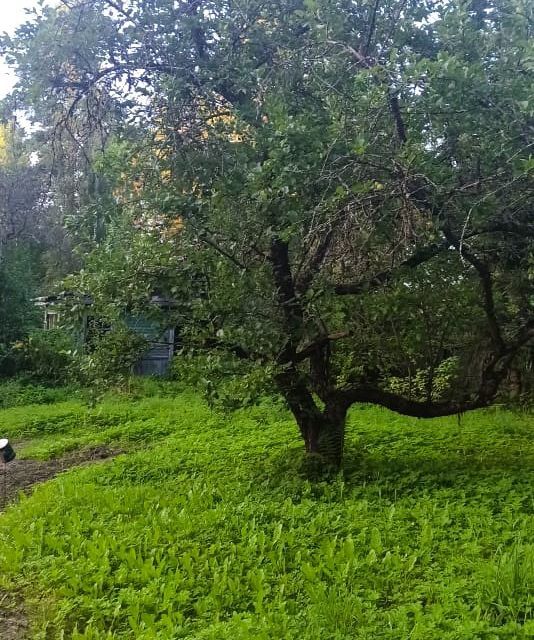 земля р-н Гатчинский городской посёлок Вырица, улица Калинина, 6 фото 4