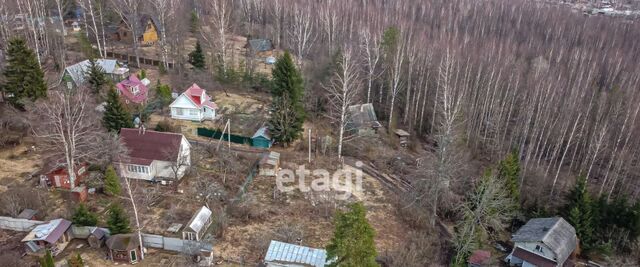 Сертоловское городское поселение, ул. Центральная, 39 фото