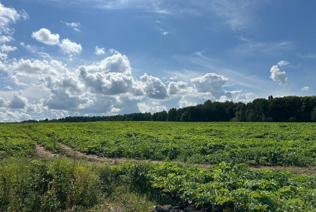 земля городской округ Клин д Залесье фото 10