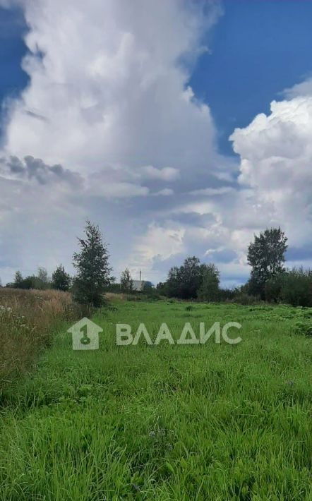 земля городской округ Талдомский д Танино 36 фото 1