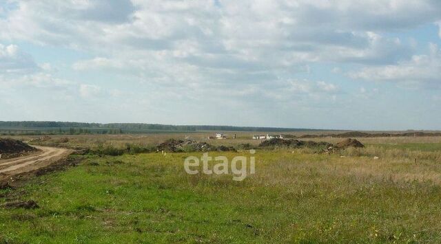 с пос, Сосновский район, Краснопольское фото