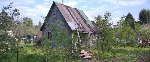 Синявинское городское поселение, 8-я линия фото