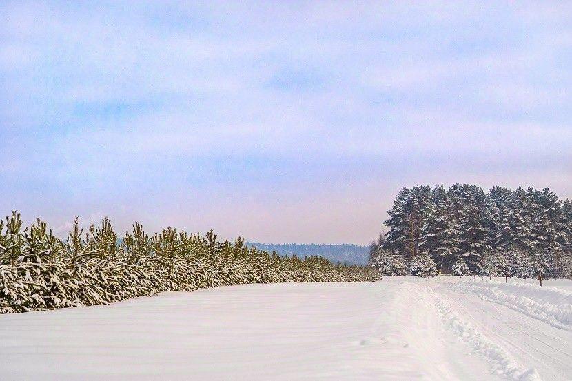 земля городской округ Ступино д Шелково фото 15