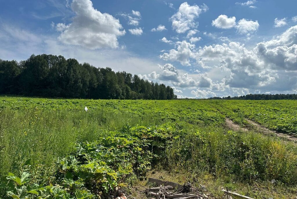 земля городской округ Дмитровский коттеджный поселок «Сорочаны» городской округ Клин фото 18