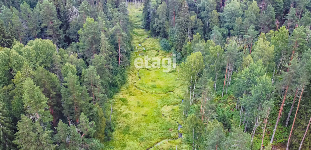 земля р-н Кировский п Дачное Куйвозовское сельское поселение, некоммерческое партнёрство Лисички фото 9