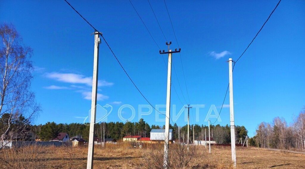 земля р-н Нижнетавдинский с Тюнево ул Сибирская фото 2