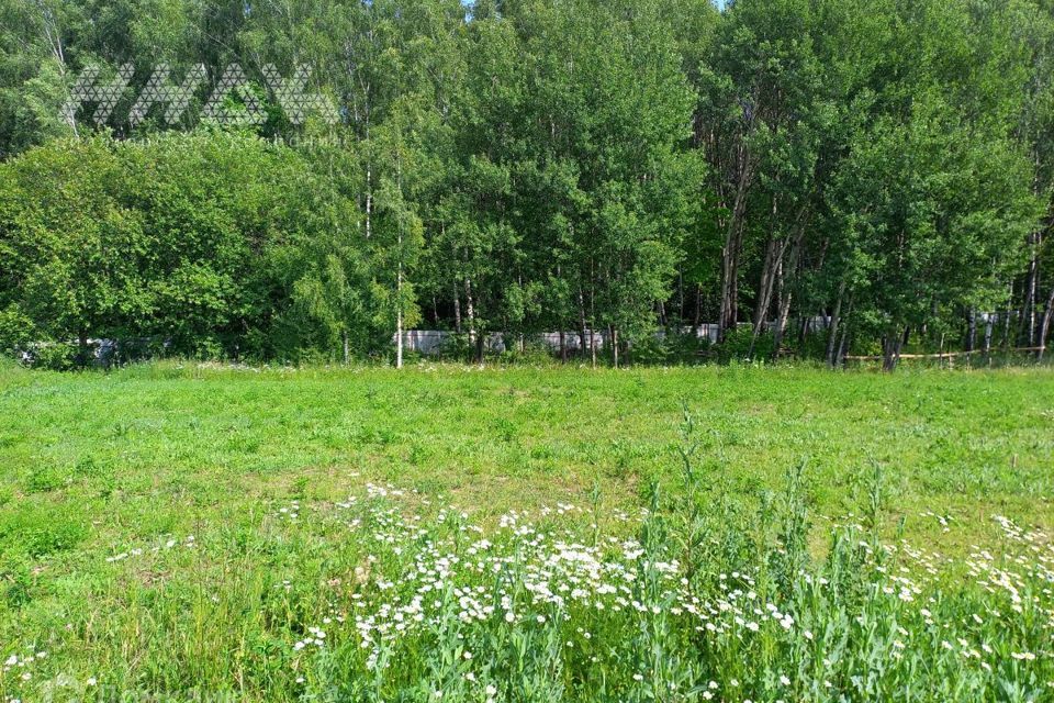 земля р-н Дальнеконстантиновский деревня Бугры фото 1