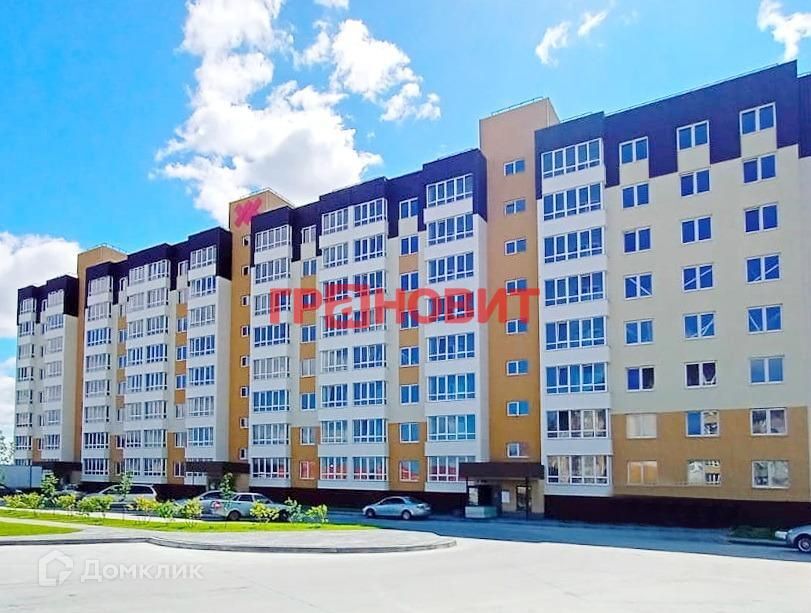 квартира р-н Новосибирский п Элитный ул Фламинго 11 фото 6