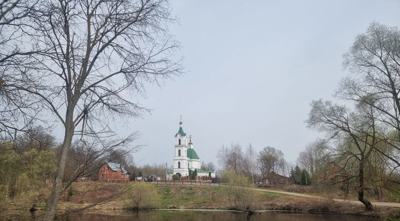 земля городской округ Домодедово с Успенское 1-я Новогородская улица, 18, Домодедово фото 7