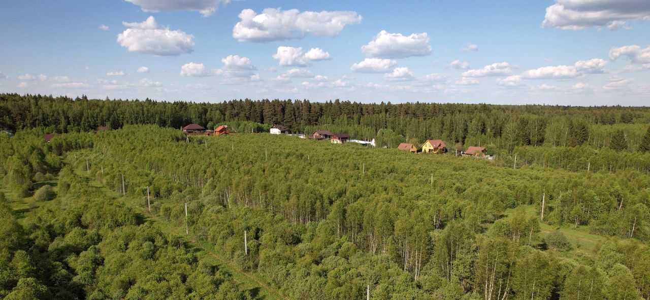 земля городской округ Можайский Лесные Просторы кп фото 3