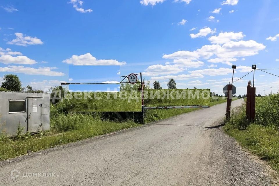 земля г Тюмень городской округ Тюмень, Садоводческое общество Царёво фото 1