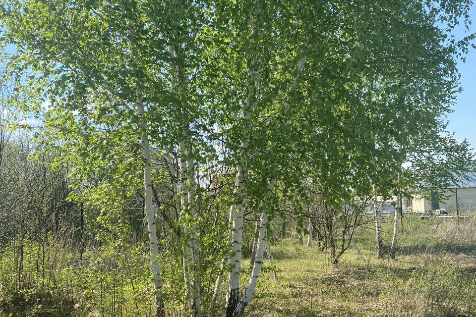 земля городской округ Уфа, СНТ Ветеран, 1 фото 4