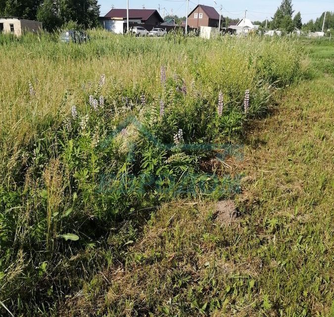 земля г Новосибирск р-н Калининский Калининский район, городской округ Новосибирск фото 2