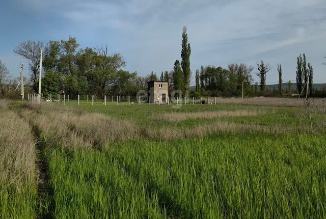 ст-ца Натухаевская муниципальное образование Новороссийск фото