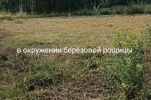 земля садоводческое товарищество Пожарник, городской округ Егорьевск фото